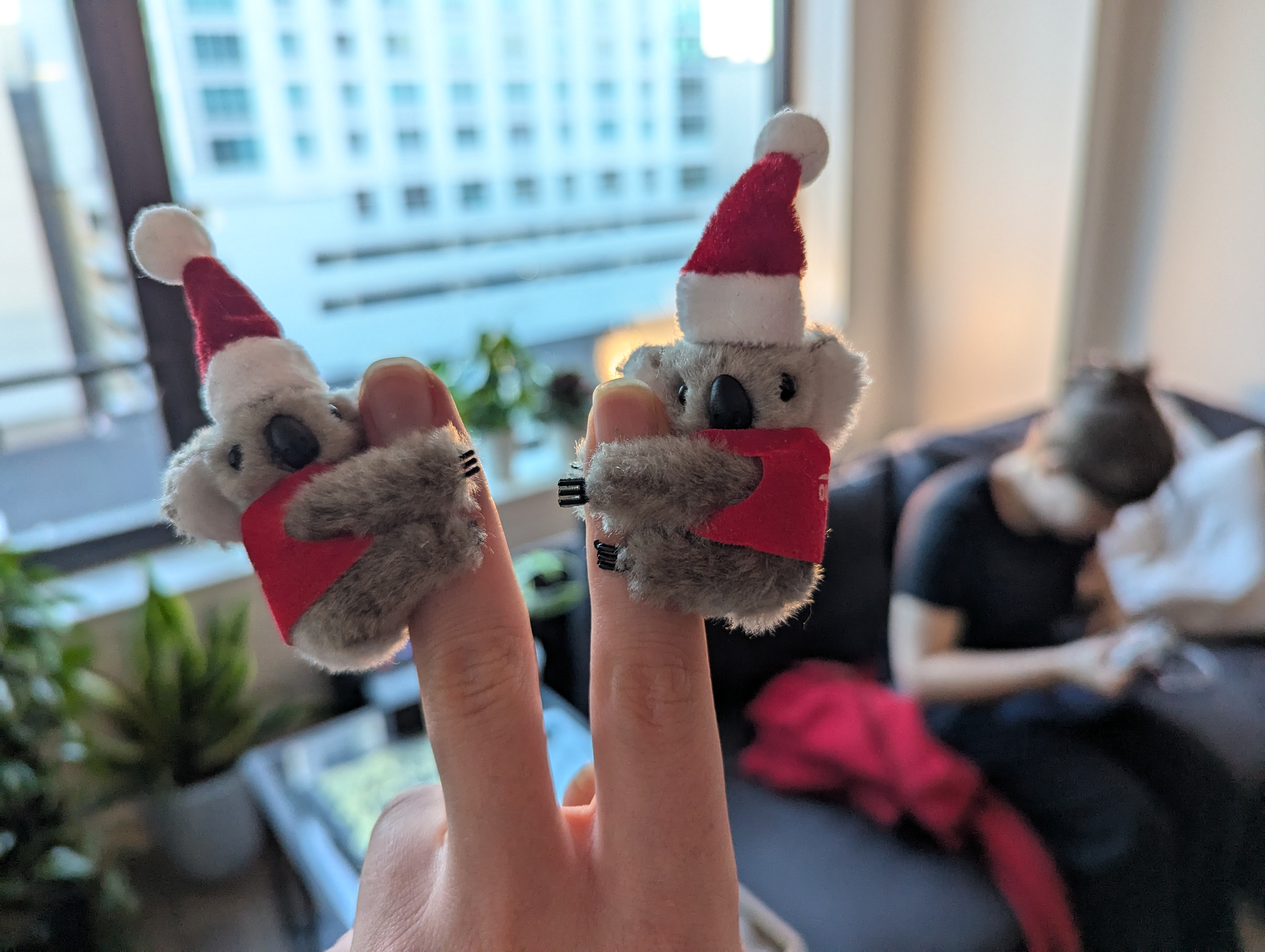 A picture of two koalas from Outback Steakhouse.