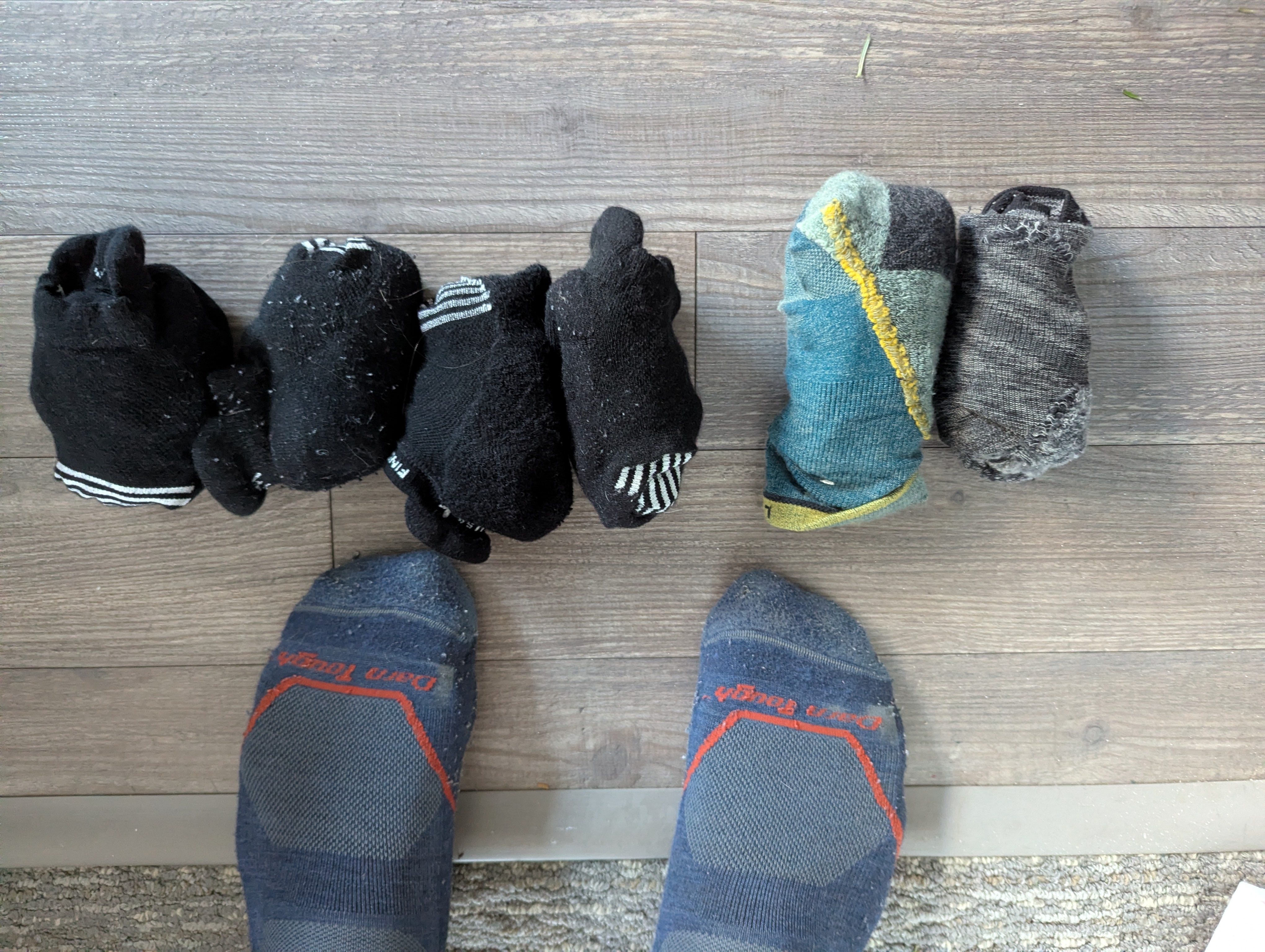 A picture of six pairs of socks rolled up.